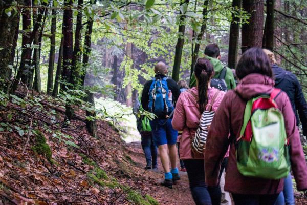 Wandergruppe im Wald