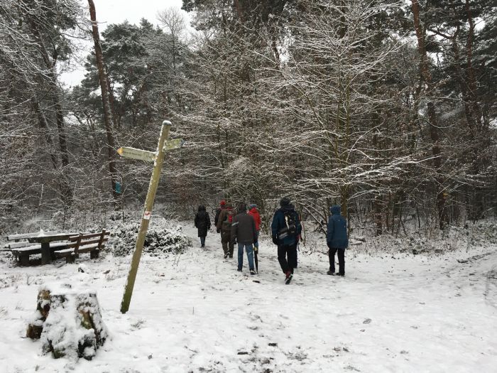 Wandergruppe im verschneiten Pfälzer Wald