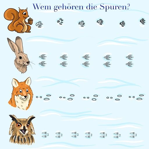 Tierspuren Beim Wandern Im Winter Entdecken Und Bestimmen