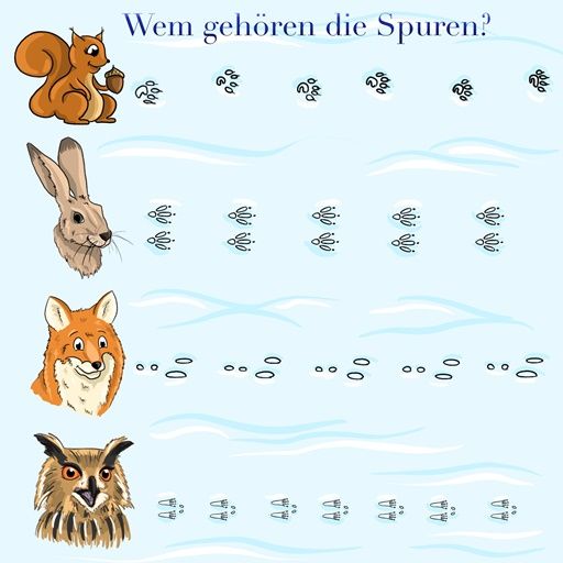 Tierspuren von Eichhörnchen, Hase, Fuchs und Eule