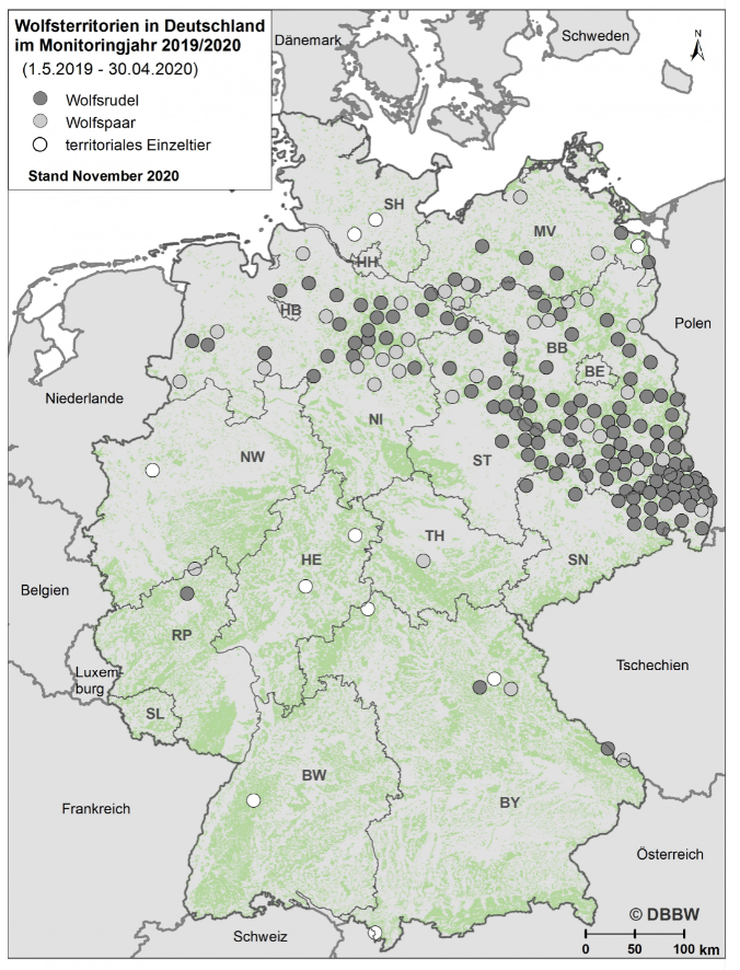 Wolfsterritorien in Deutschland