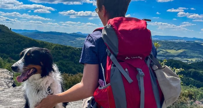 Hund beim Wandern in der Natur bei einer Wanderpause mit Wanderin