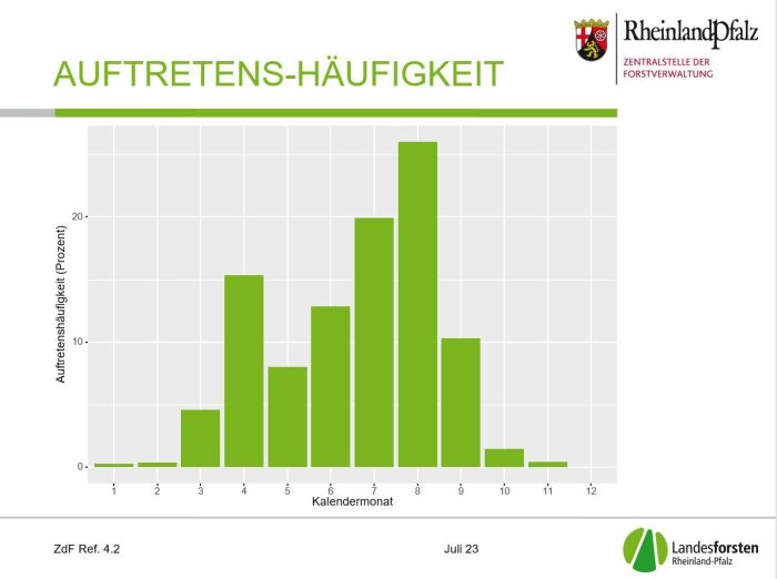 Waldbrände treten überwiegend in den Sommermonaten auf Eine Bakendiagramm zeigt, in welchen Monaten am häufigsten Waldbrände auftreten
