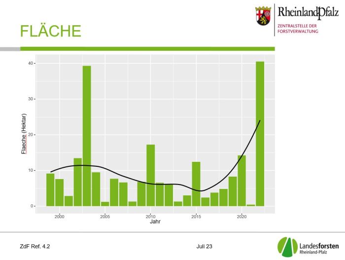 Das balkendiagramm zeigt die durch Waldbrand zerstörten Flächen in RLP von 1999 bis 2022