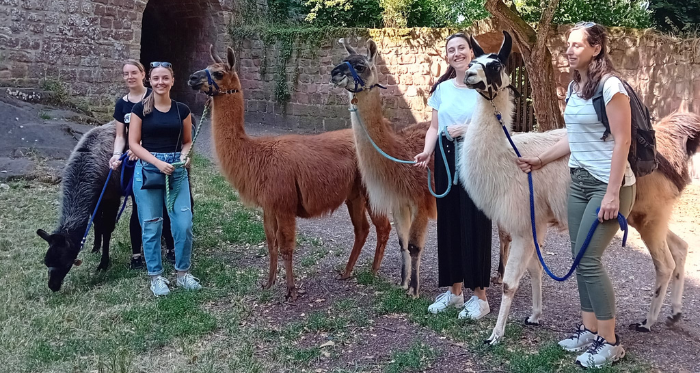 Junge Mädchengruppe mit Lamas
