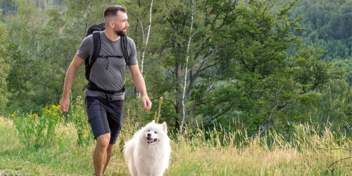 Wander-Experte Marwin Isenberg mit Hund beim Wandern