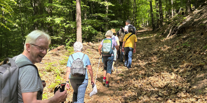 Wandern mit Gleichgesinnten Eine Wandergruppe unterwegs im Pfälzerwald