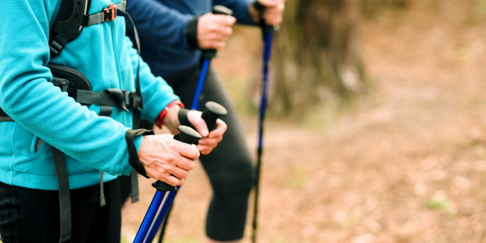 Wandern mit Wanderstöcken Zwei Wanderer mit Wanderstöcken