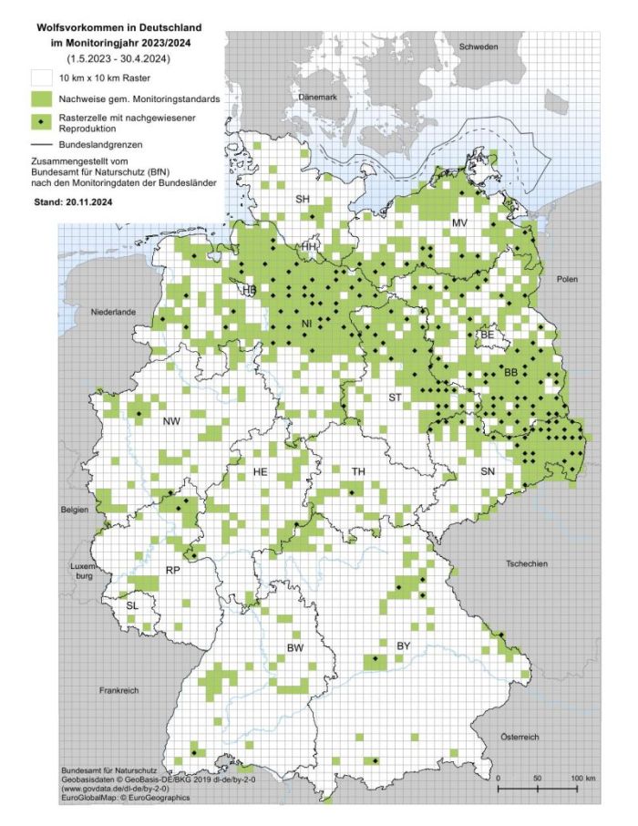 Eine Karte mit einer Übersicht von Wolfsvorkommen in Deutschland