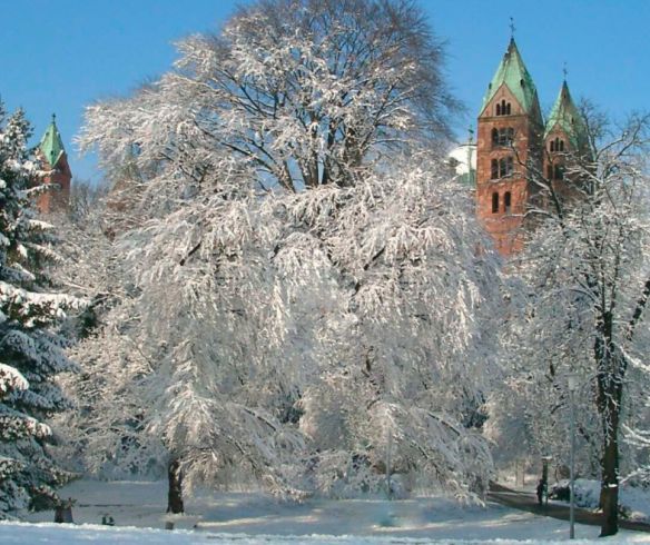 Der eingeschneite Domgarten in Speyer 