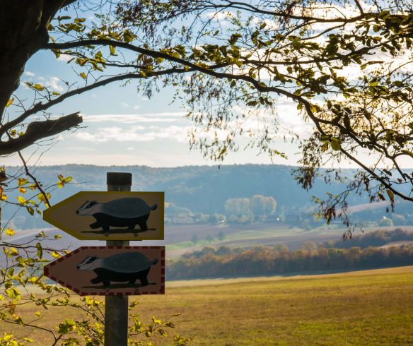 Wegweiser des Dachsi-Wanderwegs