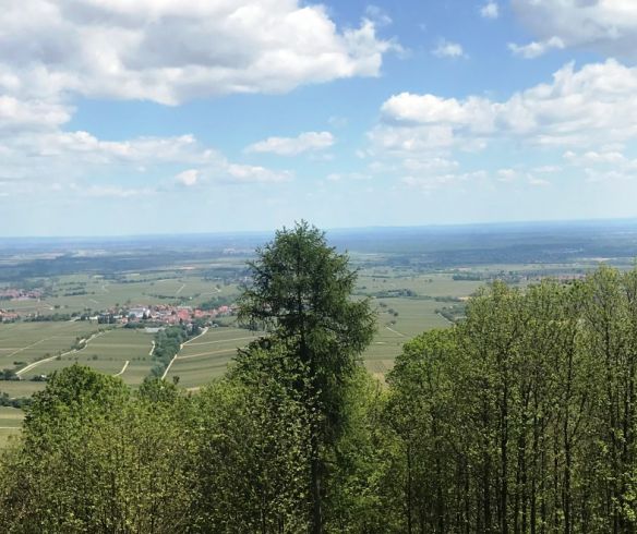 Blick von der Ringelsberghütte über die Rheinebene