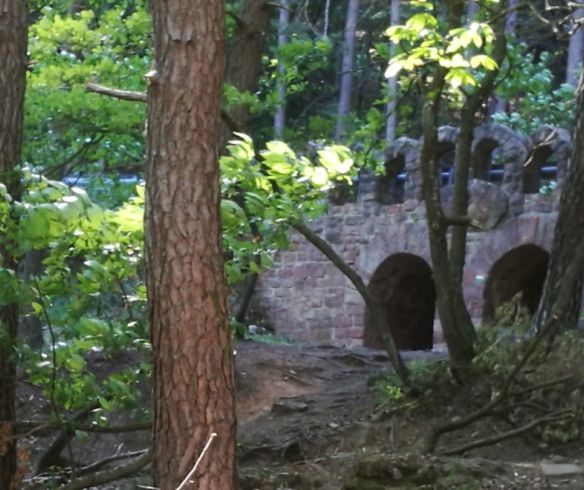 Blick in den Kastanienwald