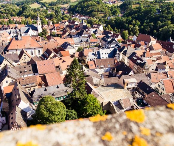 Blick auf den Ort Meisenheim